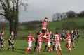Monaghan 1st XV Vs Randalstown March 17th 2012-20